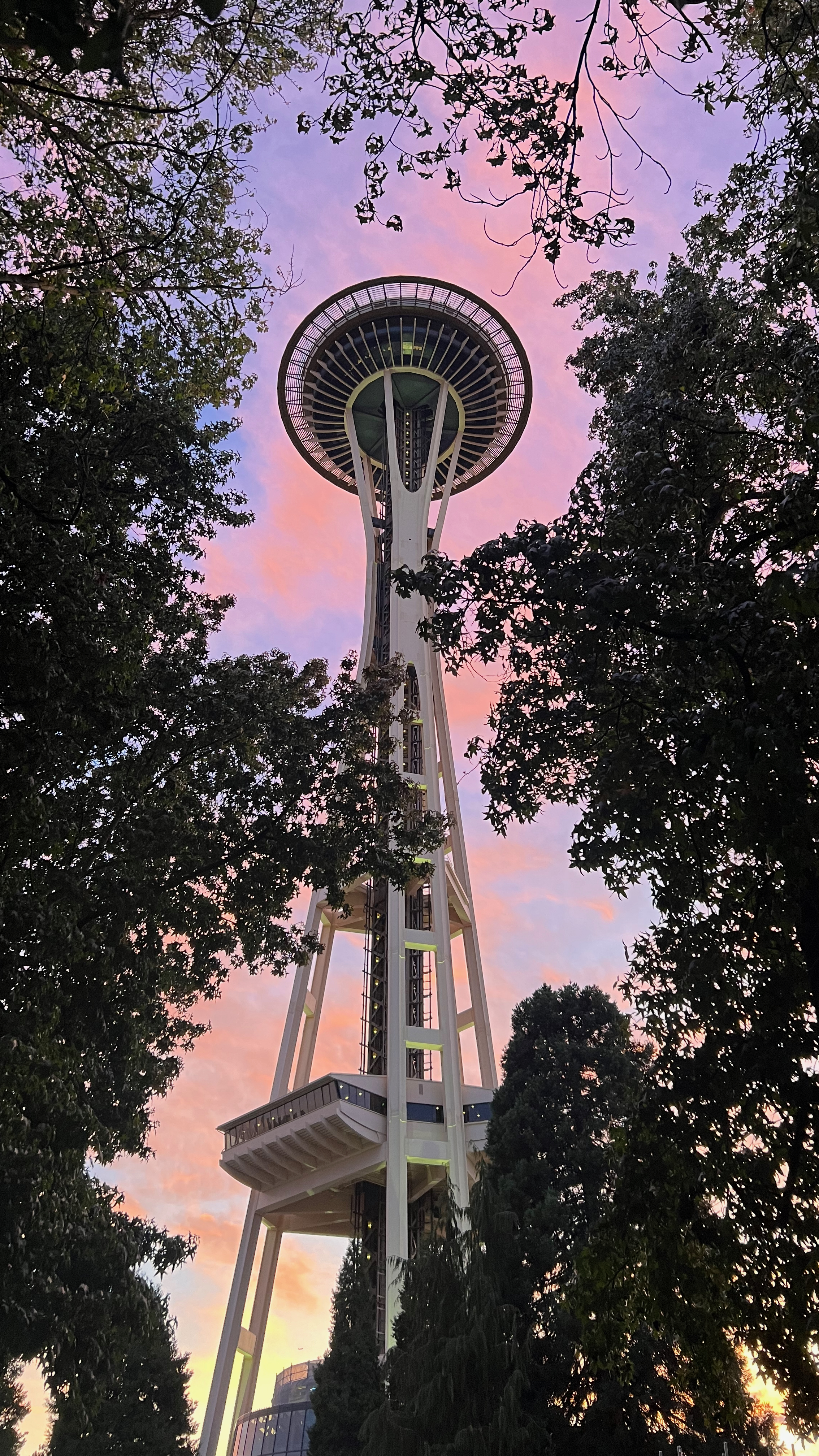 The Space Needle framed by trees against a pink and purple dusk sky
